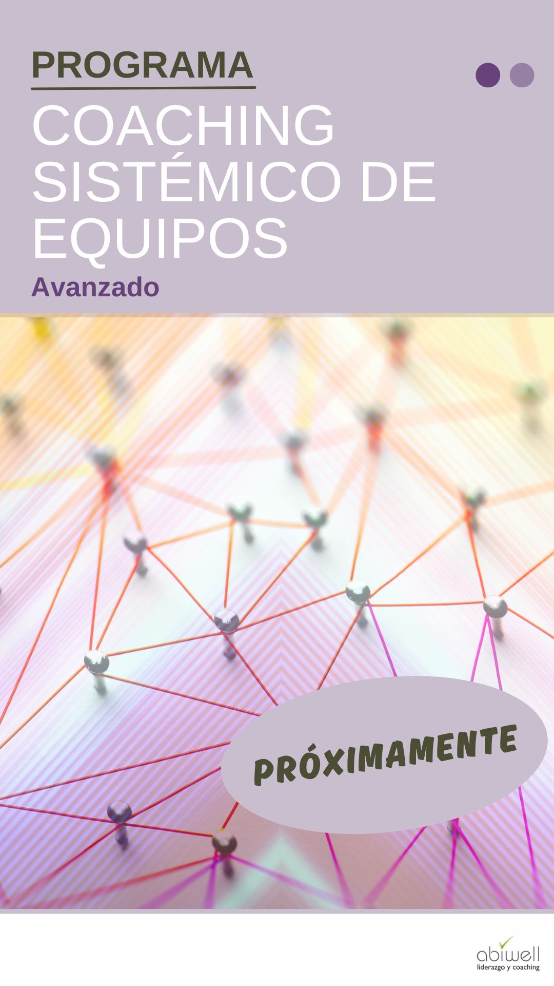 Caratula CSE Avanzado Proximo Coaching Sistemico equipos avanzado Abiwell