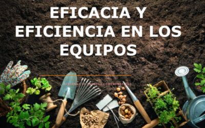 Coaching Sistémico de Equipos: Potenciando Eficacia y Eficiencia