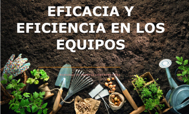 Coaching Sistémico de Equipos: Potenciando Eficacia y Eficiencia